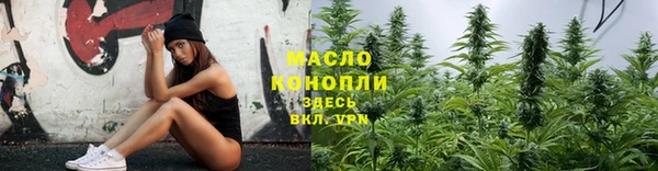 дмт Лабытнанги