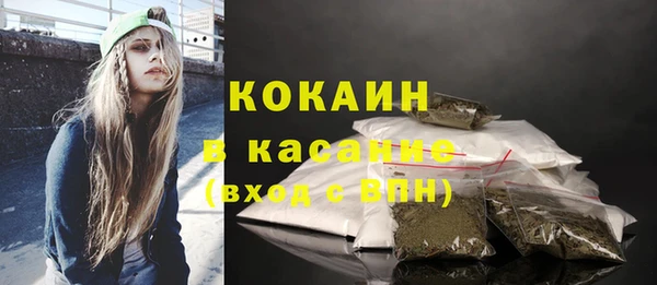 дмт Лабытнанги