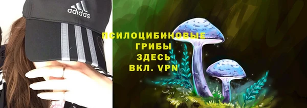 дмт Лабытнанги