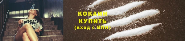дмт Лабытнанги