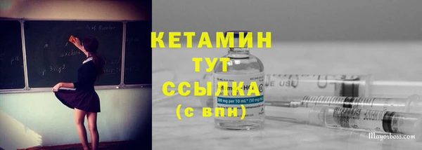 дмт Лабытнанги