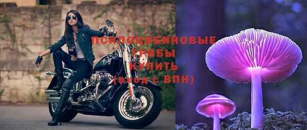 дмт Лабытнанги
