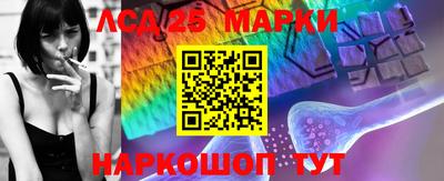 прущие грибы Донецк