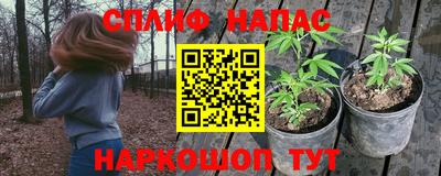 прущие грибы Донецк