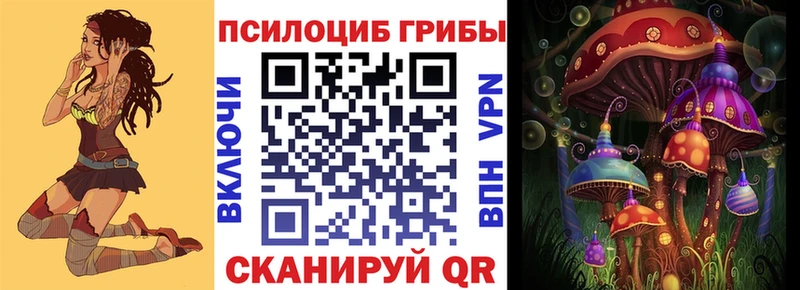 магазин продажи наркотиков  Троицк  Галлюциногенные грибы мицелий 