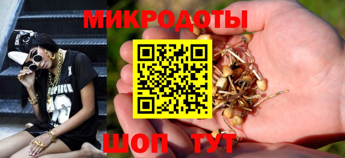 Галлюциногенные грибы прущие грибы Троицк